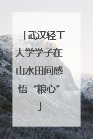 武汉轻工大学学子在山水田间感悟“粮心”